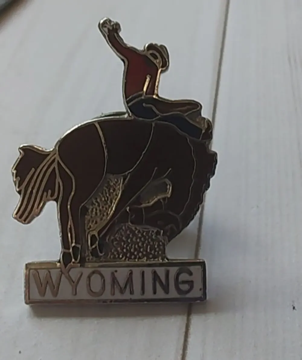 Wyoming Bucking Bronco Cowboy State Pin for Hat, Lapel, Jacket or Backpack